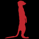 Avatar de Suricatadata