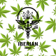 Iberian