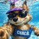 Avatar de Chacal
