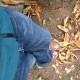 Avatar de PedroBarquero